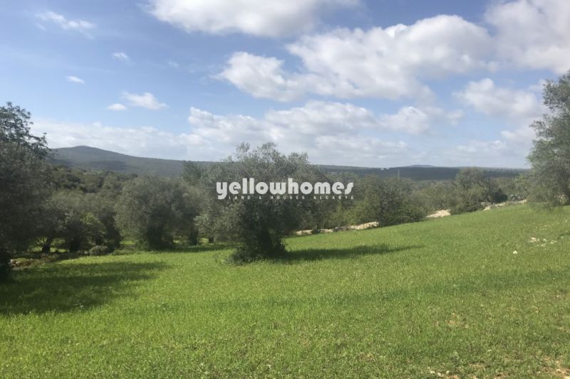 Good size villa plot with approved project just a short drive from Loule and Boliqueime